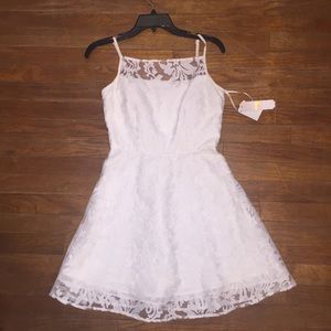 gianni bini dress